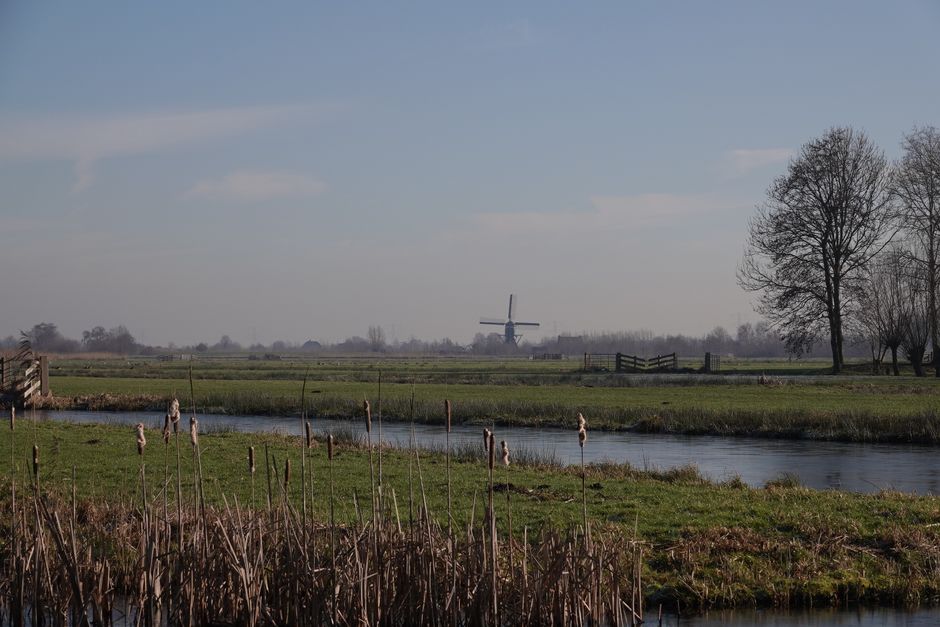Tranquil Dutch landscape near Reeuwijk with a distant windmill and serene canal.